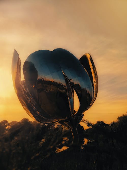 Free Metal Flower Sculpture at the Plaza Naciones Unidas, Buenos Aires, Argentina  Stock Photo