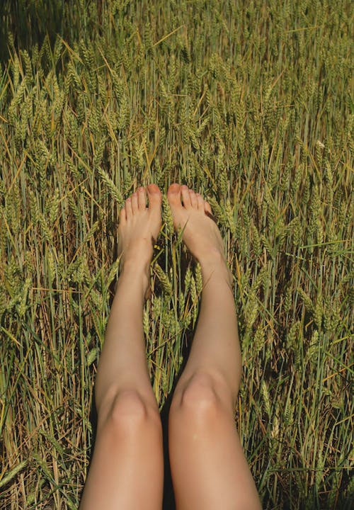 ayaklar, bacaklar, çim içeren Ücretsiz stok fotoğraf