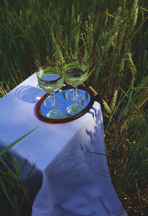 Glasses on Tray on Table on Ground among Grasses