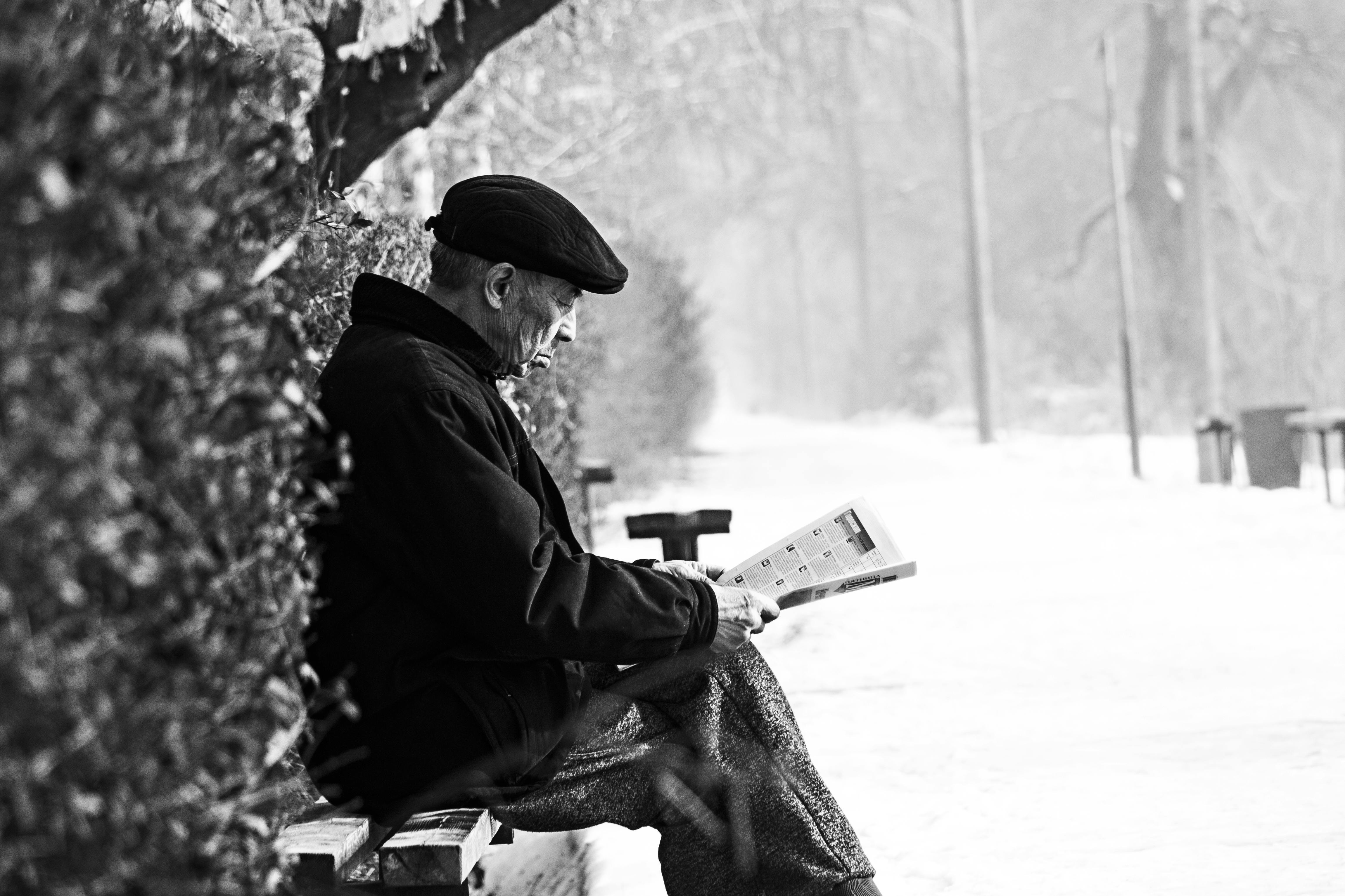 Free stock photo of black and white, reading, winter