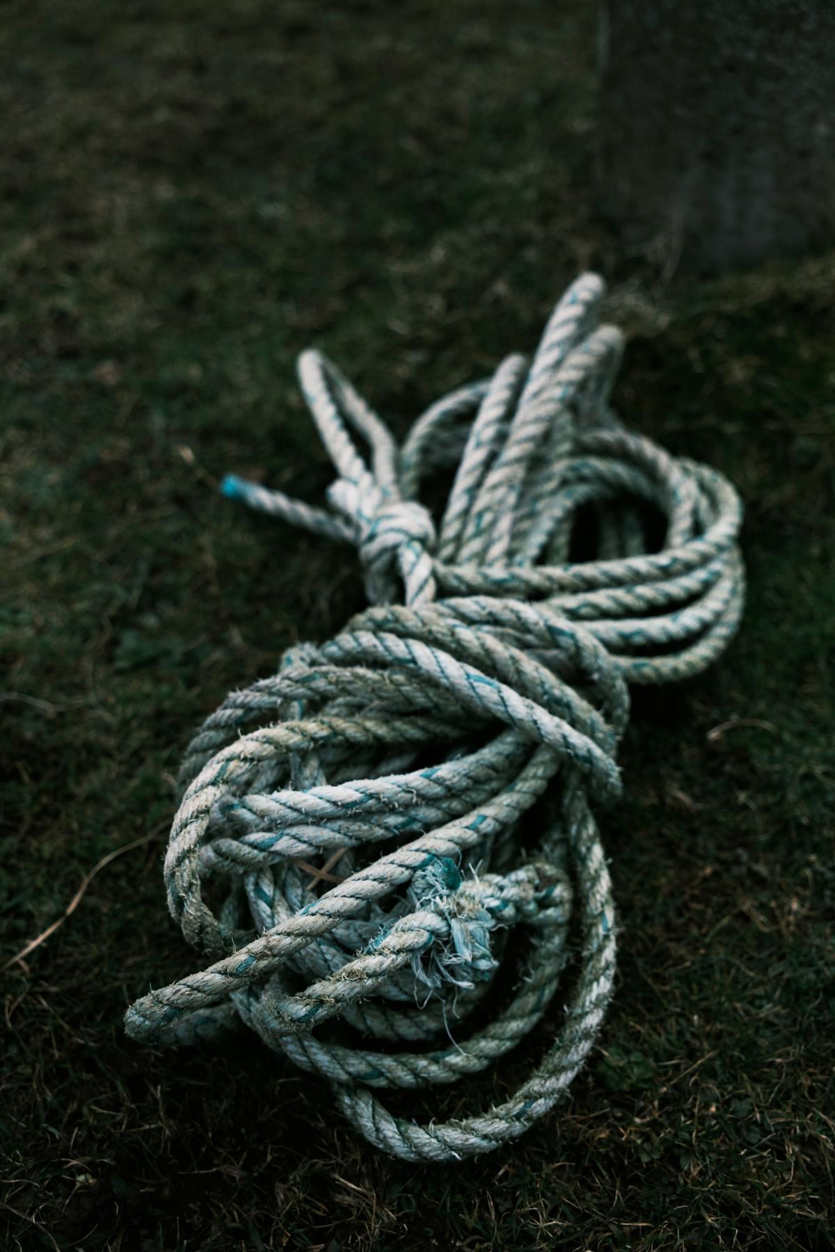 Orange Rope Wrapped Brown Wood Log · Free Stock Photo