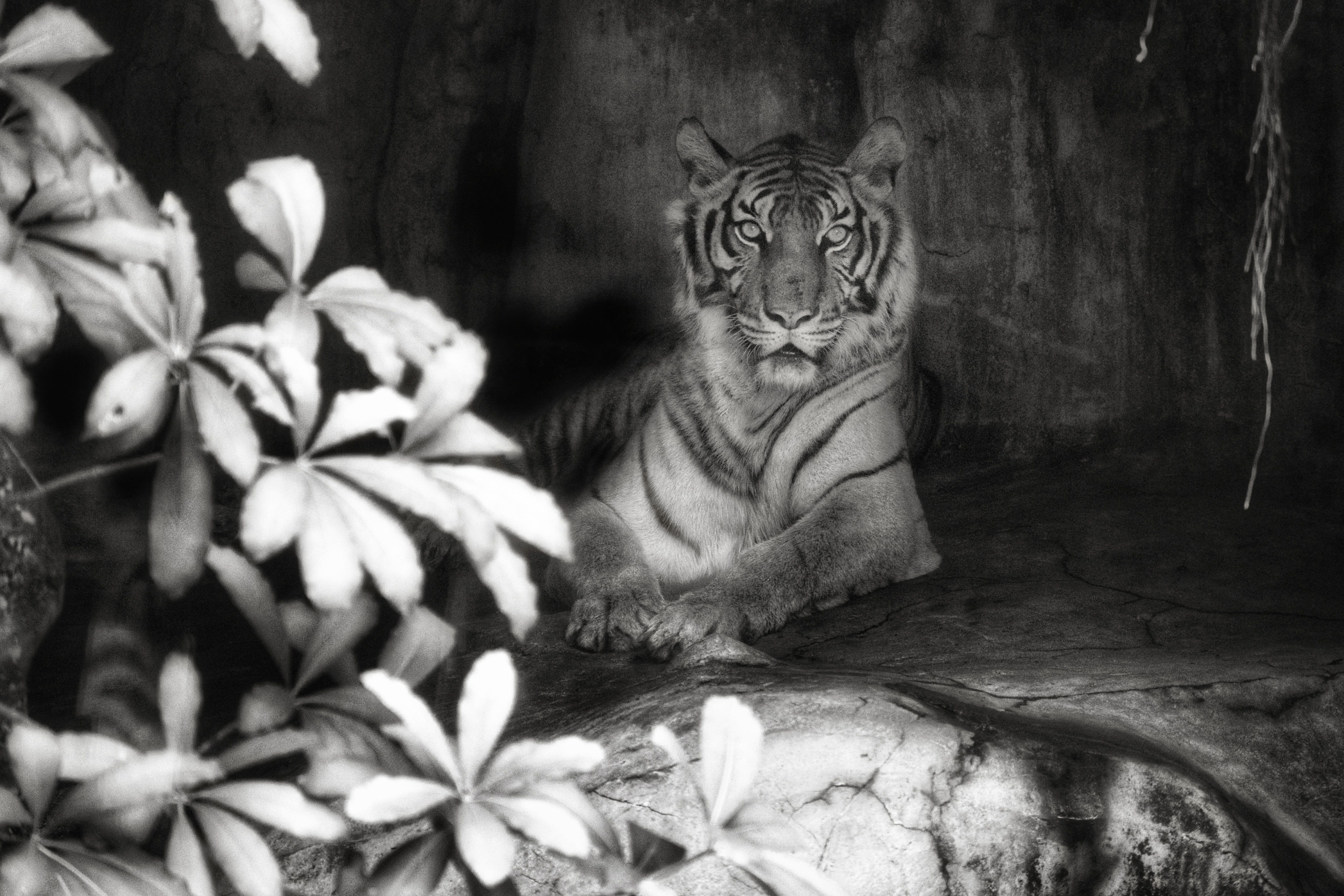 Catoctin Zoo Coupons Photos, Download The BEST Free Catoctin Zoo