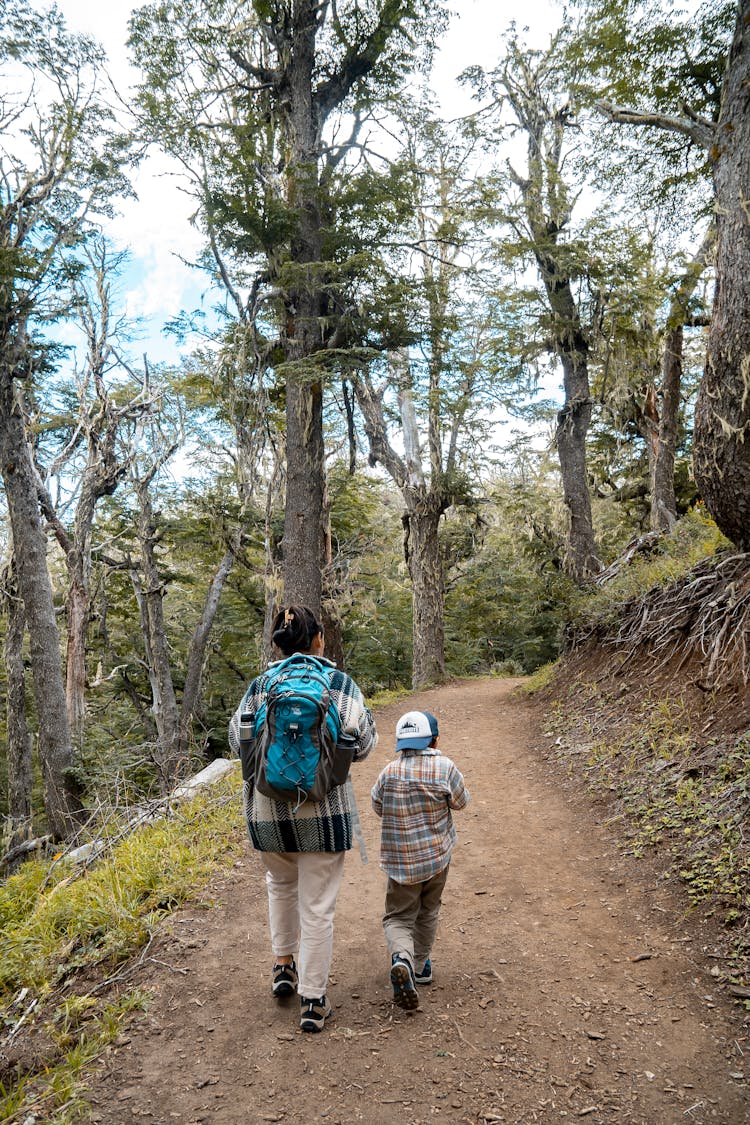 Mother Walking With Son In Forest