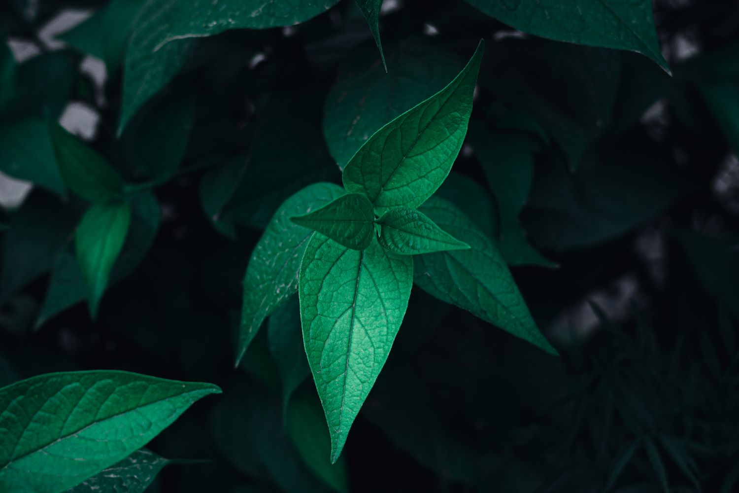 Latest Wallpaper Photos Download The BEST Free Latest Wallpaper Stock latest-wallpaper-photos-download-the-best-free-latest-wallpaper-stock