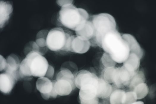A soft focus abstract black and white bokeh image with an artistic feel.