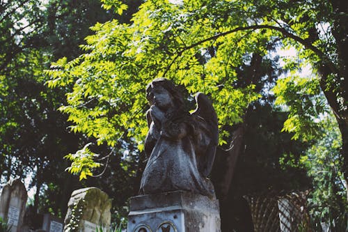 Gratis stockfoto met beeldje, begraafplaats, bidden Stockfoto