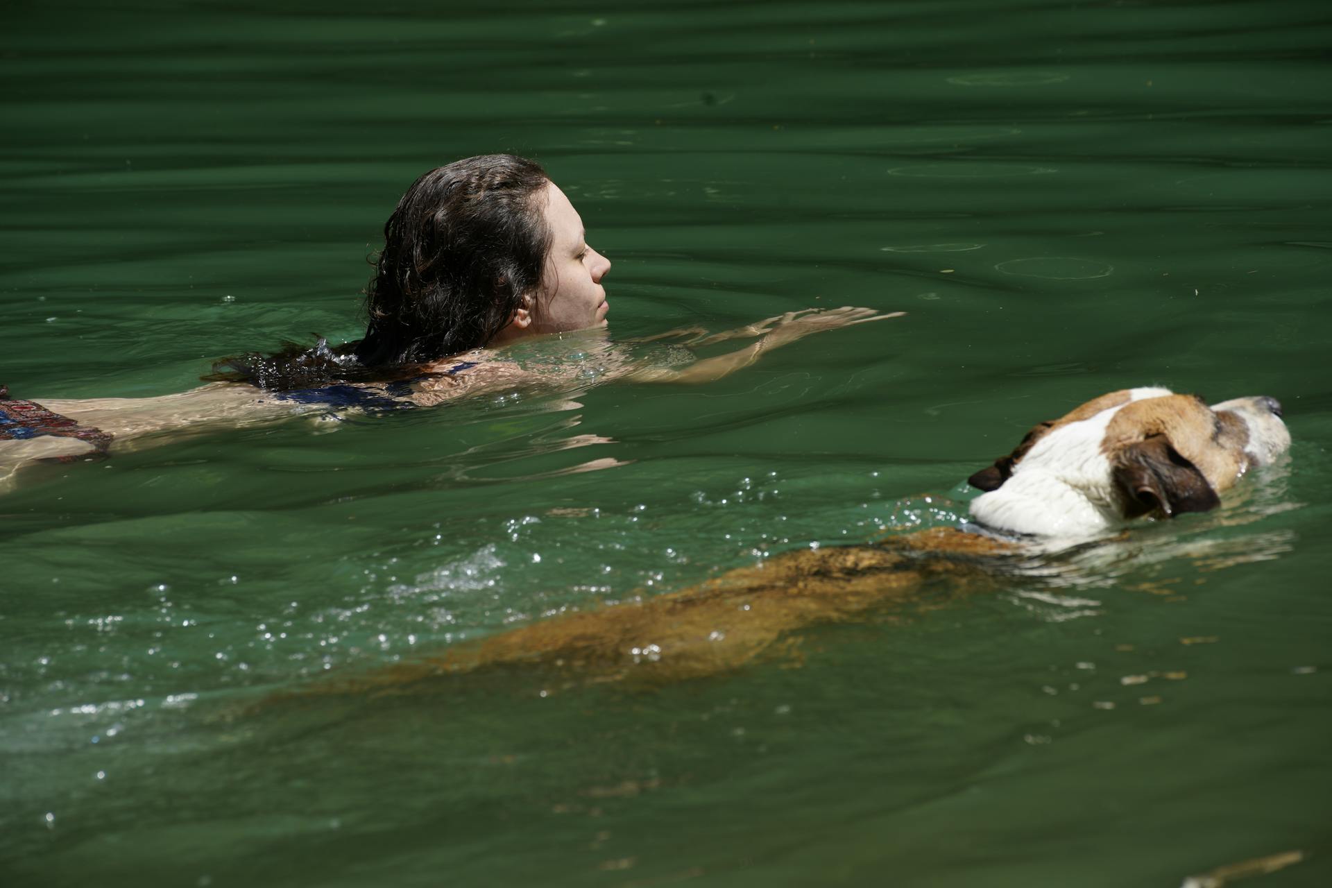 Woman and Dog Swimming in Green Water