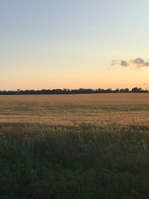 Fotobanka s bezplatnými fotkami na tému dedinský, hracie pole, jasná obloha