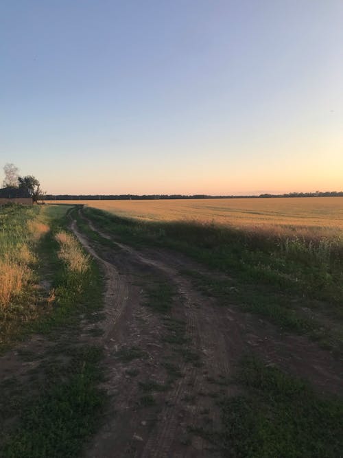 Dirt Road near Field in Countryside