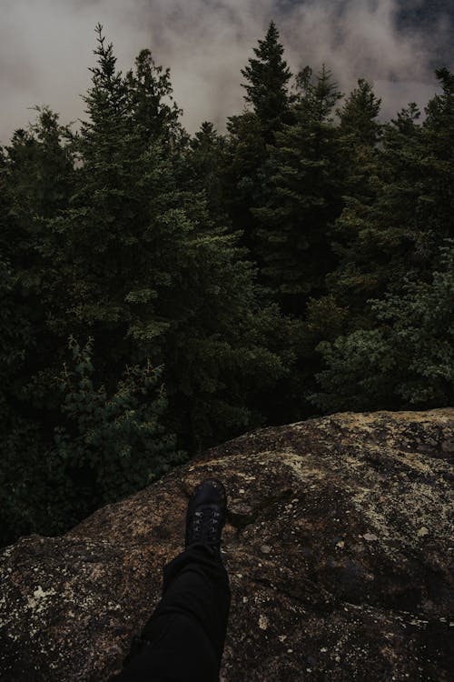 Evergreen Trees behind Rock with Shoe of Person over
