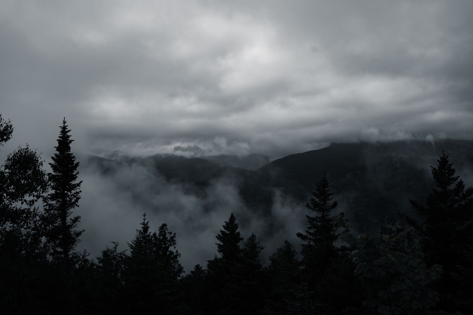 Mist over a forested mountain valley — photo by Connor Scott McManus on Pexels