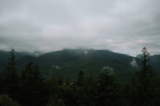 Aerial view of a lush green forest in mountainous terrain under an overcast sky.