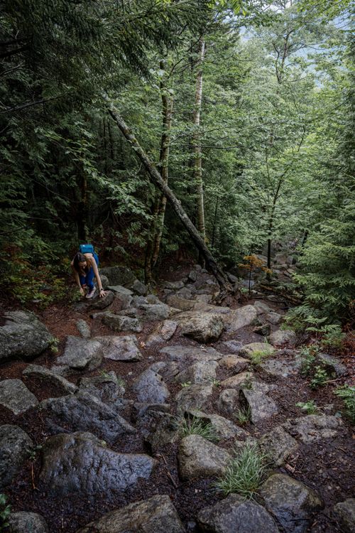 Free A woman climbing rocky terrain in a lush green forest during summer. Stock Photo