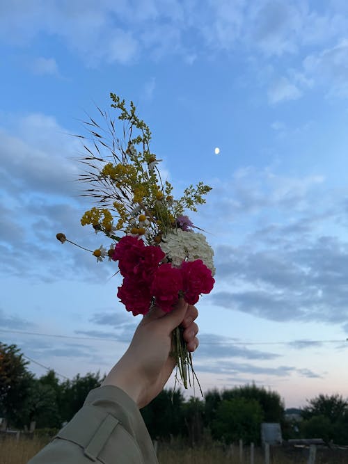 꽃밭, 달빛, 맑은 푸른 하늘의 무료 스톡 사진