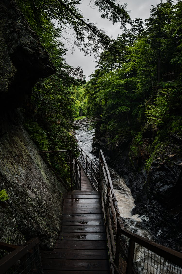 Wooden Footpath Over Stream In Ontario