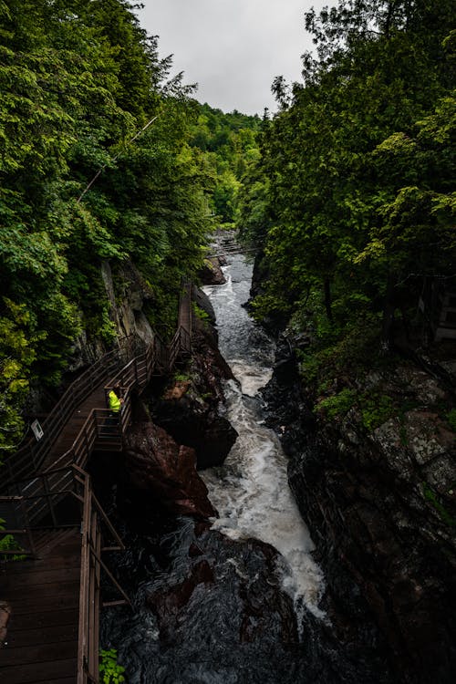 Foto profissional grátis de água, árvores, cachoeira