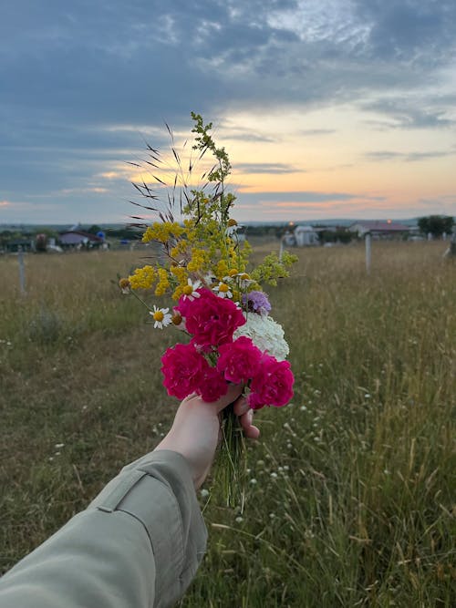 Безкоштовне стокове фото на тему «букет, весняні квіти, квіти»