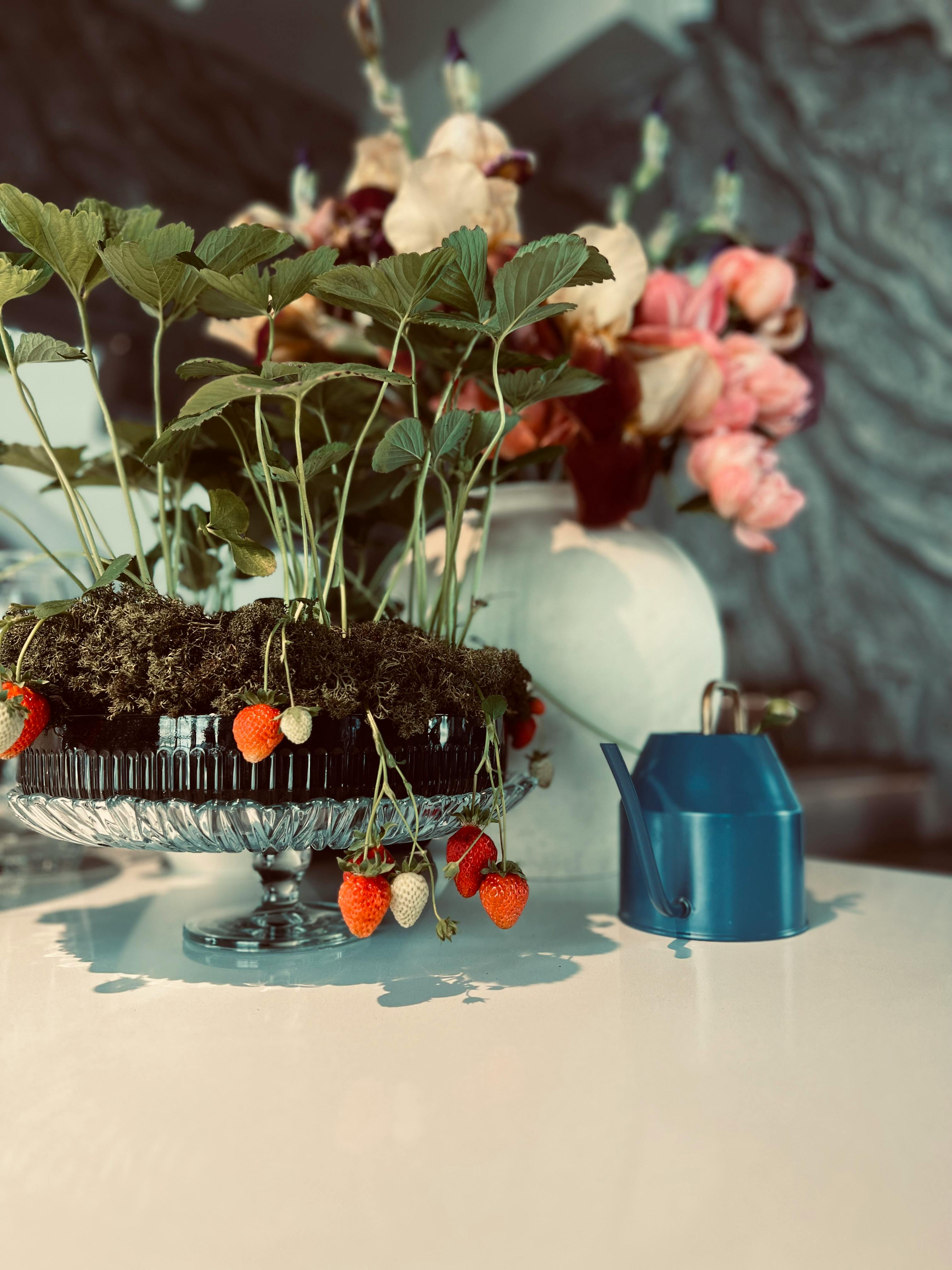 Aromatherapy Can Change Your Life