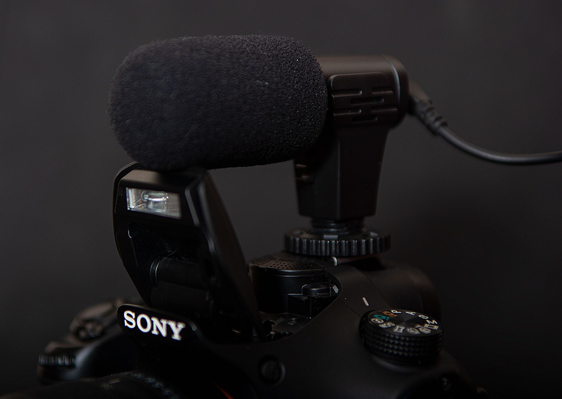 Detailed view of a microphone attached to a DSLR camera, ideal for video production.