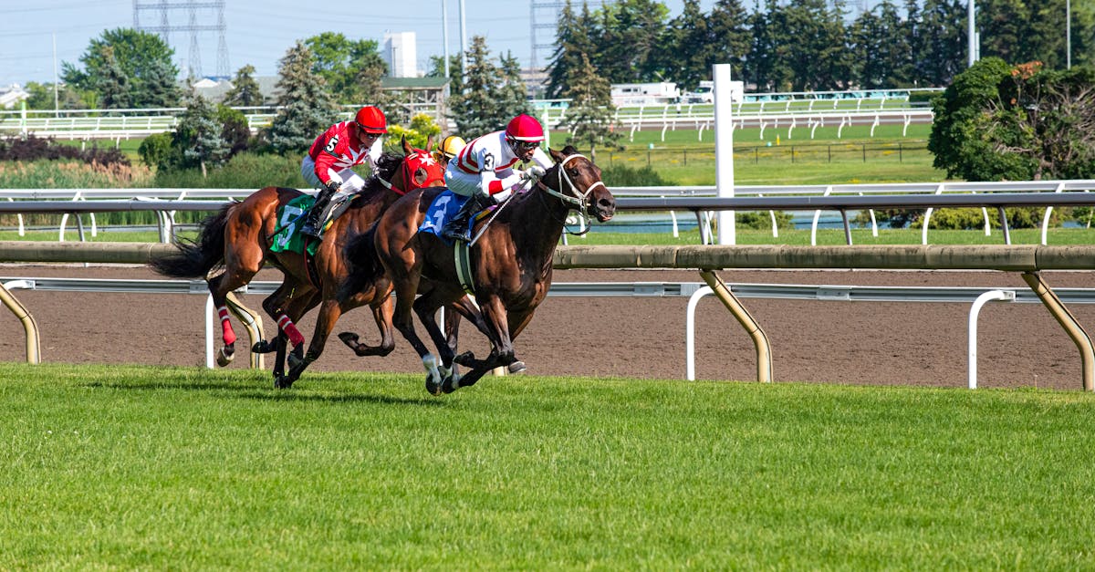 Action-packed horse racing with jockeys competing on a sunny day at a vibrant outdoor track.