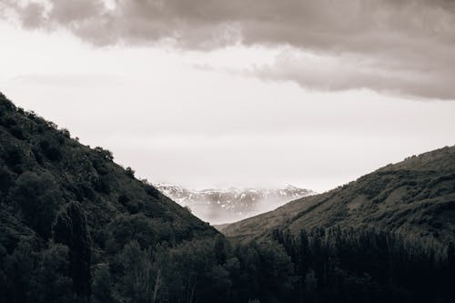 Snowcapped Mountains at the End of Forested Valley