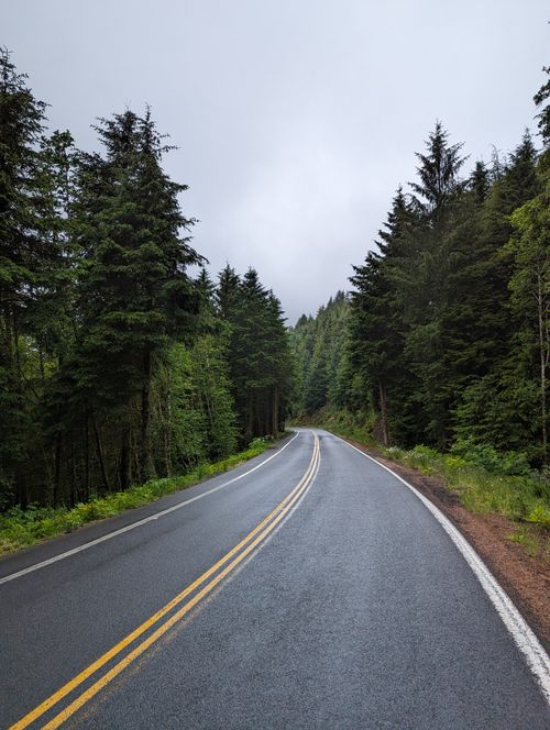 Free Serene rainy road through lush coniferous forest in Oregon, capturing misty tranquility and green landscapes. Stock Photo