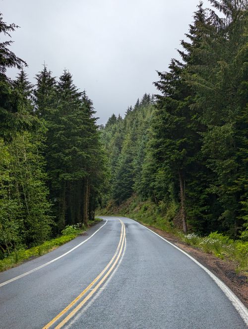 Free A serene, misty road leading through a lush, forested area in Sandlake, Oregon, capturing the essence of the Pacific Northwest. Stock Photo