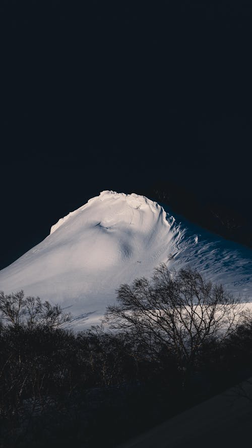 감기, 겨울, 경치의 무료 스톡 사진