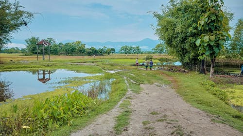 Village Life