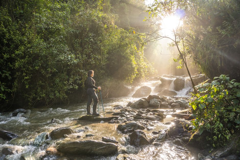 Amazing Day Tour to Isabela Island with Tintorera Islet, Snorkeling Wetlands & Flamingos Review 2026 - A woman stands by a sunlit stream in a lush forest. Perfect for nature and adventure themes.