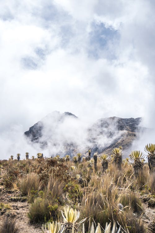 Foto d'estoc gratuïta de blanc, natura, núvol