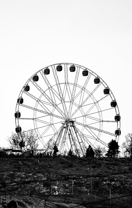 Fotos de stock gratuitas de blanco y negro, carnaval, carrusel