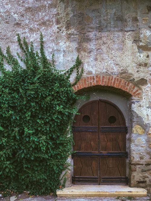 Free A rustic wooden door with ivy growing on a weathered stone wall, creating a vintage feel. Stock Photo