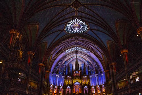 Безкоштовне стокове фото на тему «базиліка Нотр-Дам, внутрішній, Канада»