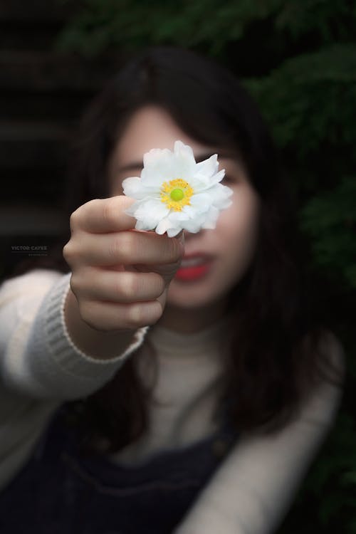 Immagine gratuita di bianco, donna, fiore