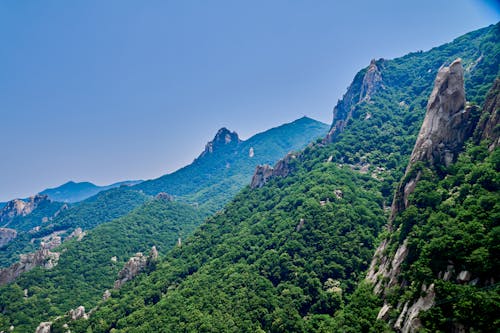 View of Rocky Mountains and Green Trees