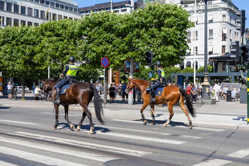 Police Officers on Horses on Street