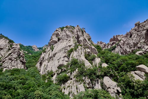 Kostenloses Stock Foto zu außerorts, bäume, berge