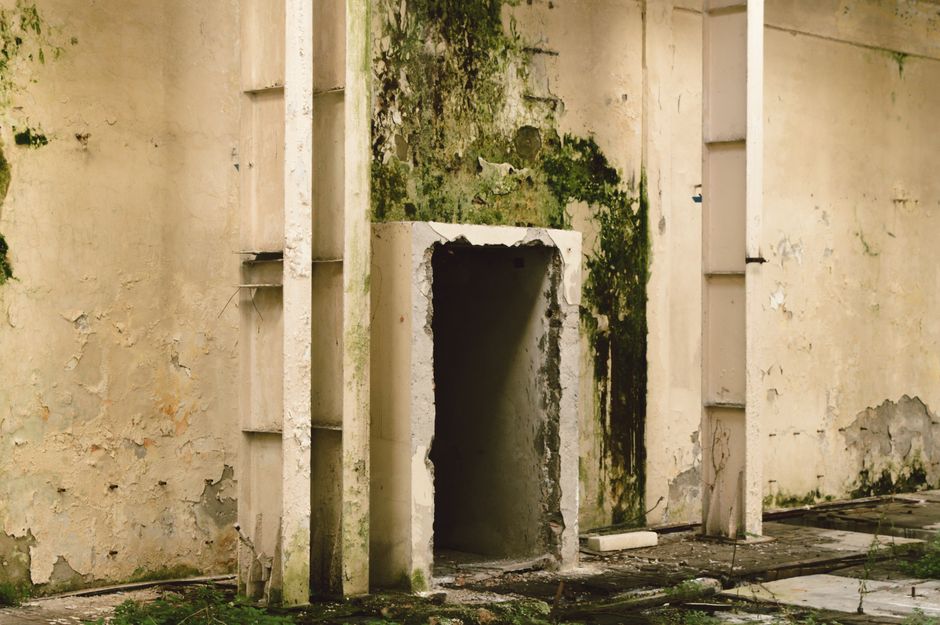Mold Remediation & Removal service in Palatine, Illinois — mold remediation technician at work