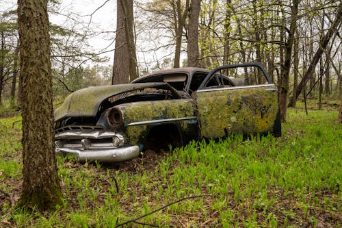 Fotos de stock gratuitas de abandonado, antiguo, arboles