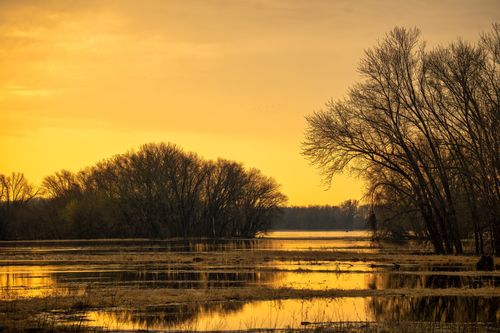Free A tranquil sunset over a reflective river in Wabasha, MN, with autumn trees. Stock Photo