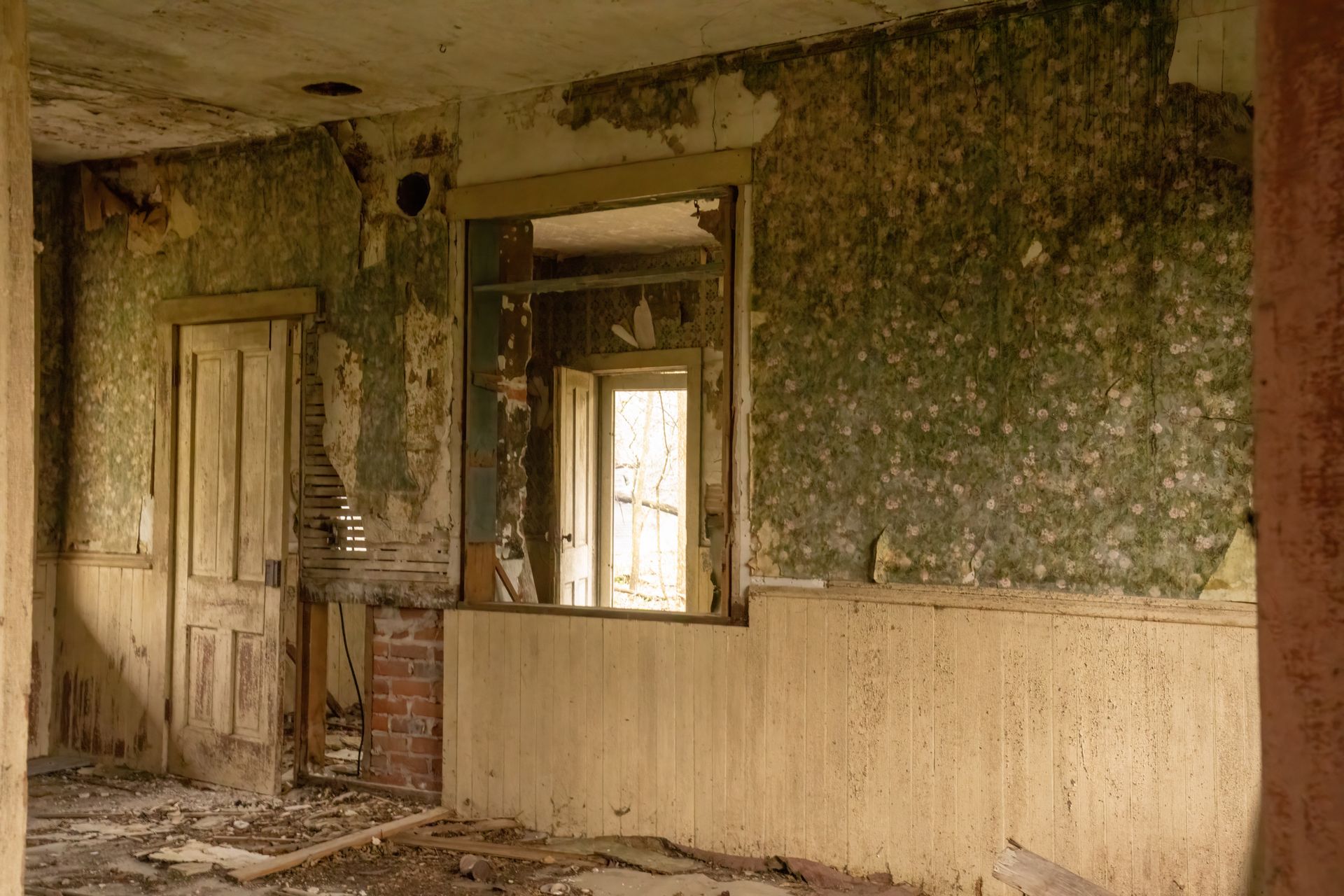 Interior of an abandoned house in West Newton, MN with peeling wallpaper and decaying walls.