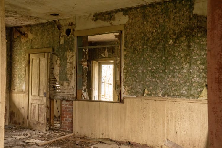 Ruined House Interior