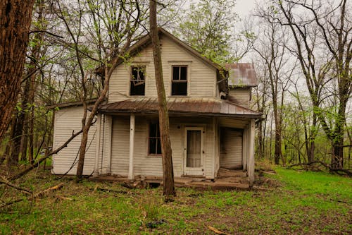 Imagine de stoc gratuită din abandonat, arbori, cămin