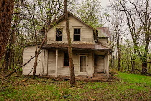 Inside America’s Most Haunted Forests (and Their Weather Myths)