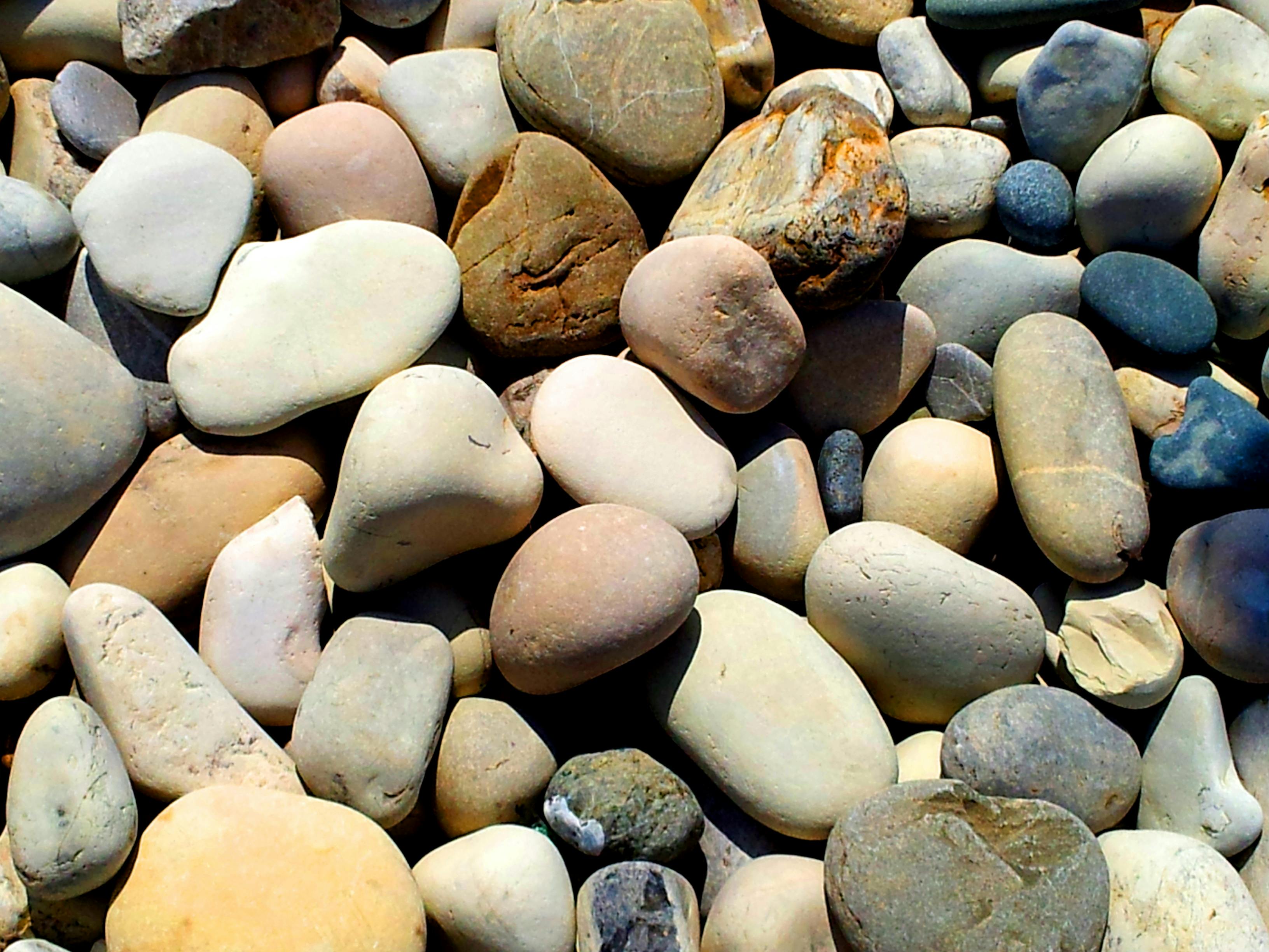 Free stock photo of pebbles