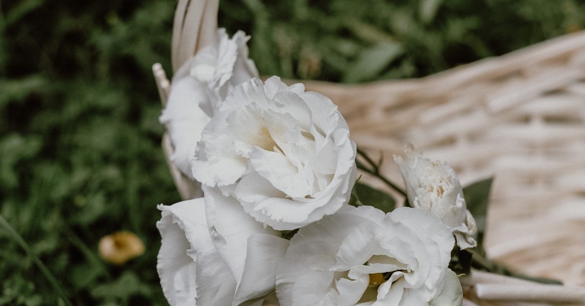 White Roses in Basket · Free Stock Photo