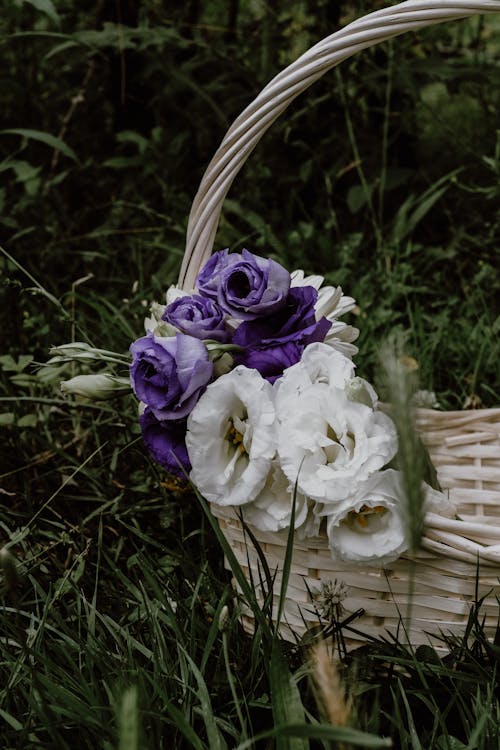 Безкоштовне стокове фото на тему «Букет квітів, вертикальні постріл, Вибірковий фокус»