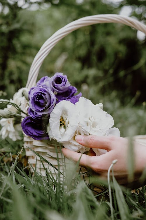 Woman Hand over Flowers in Basket