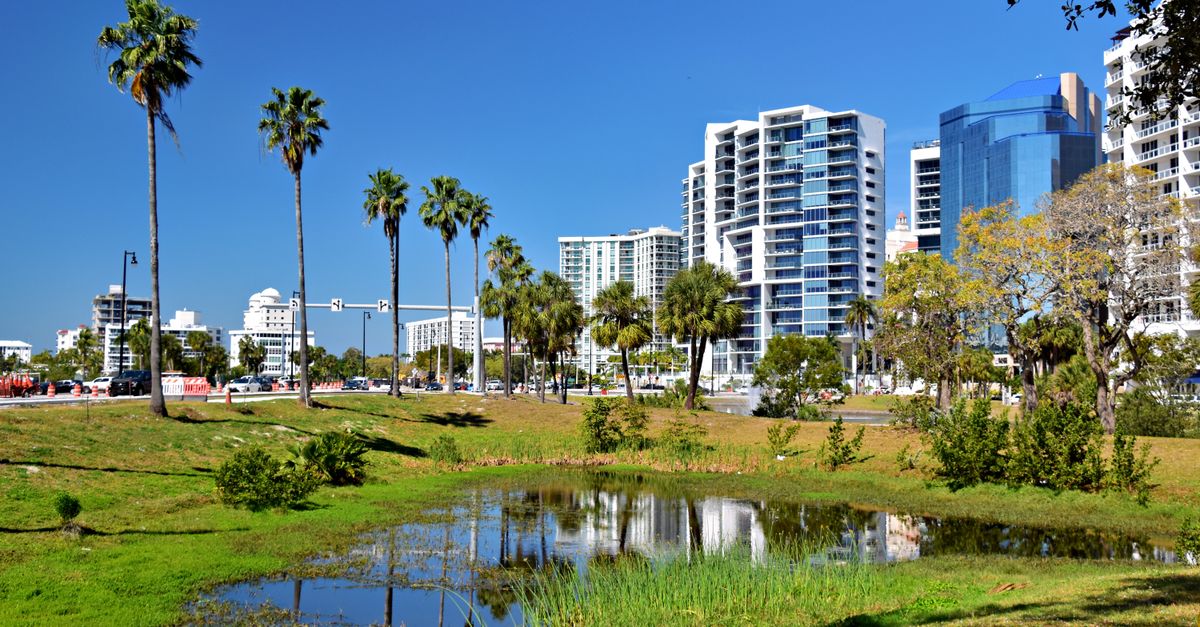 A city skyline with palm trees and a small pond in a sunlit urban park setting.